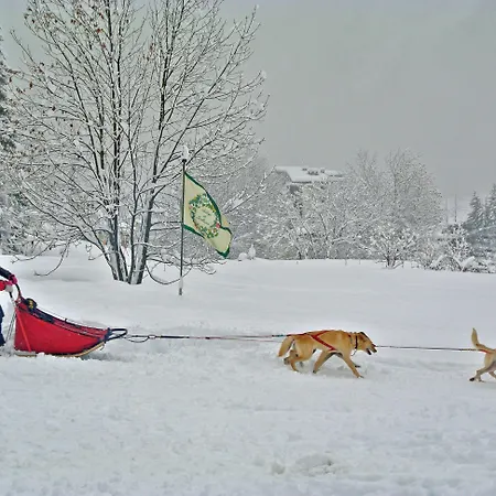 De La Maison 5* Courmayeur